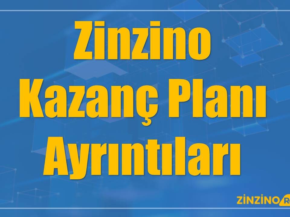 Zinzino Kazanç Planı Ayrıntıları