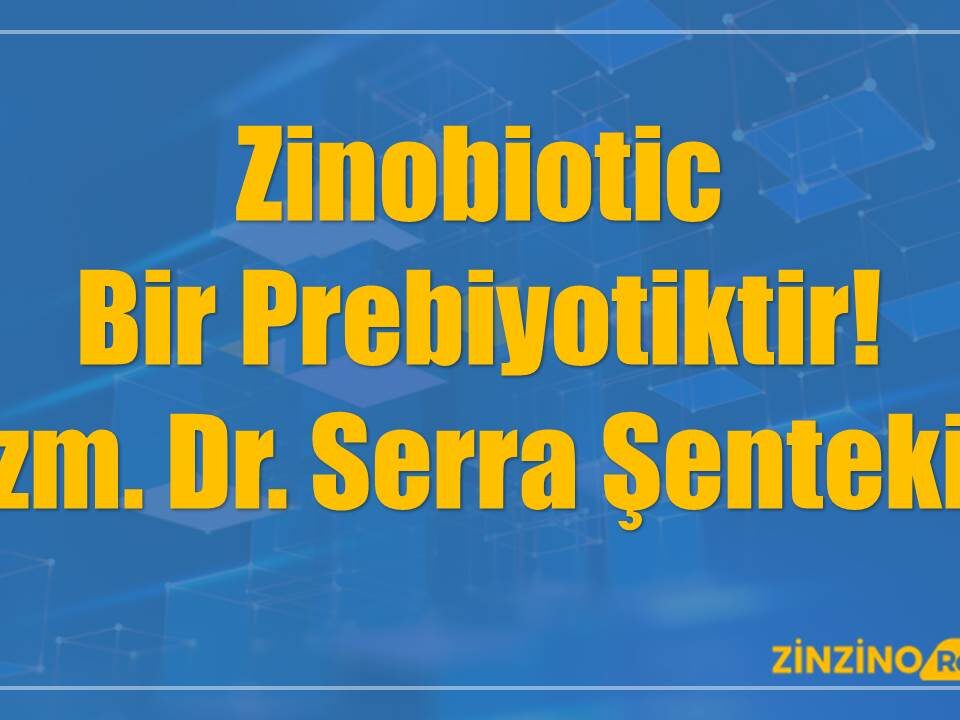 Zinobiotic Bir Prebiyotiktir! - Uzm. Dr. Serra Şentekin