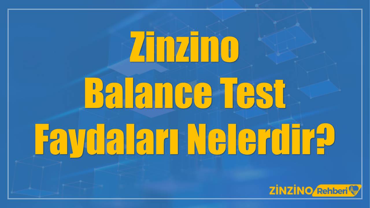Zinzino Balance Test Faydaları Nelerdir?