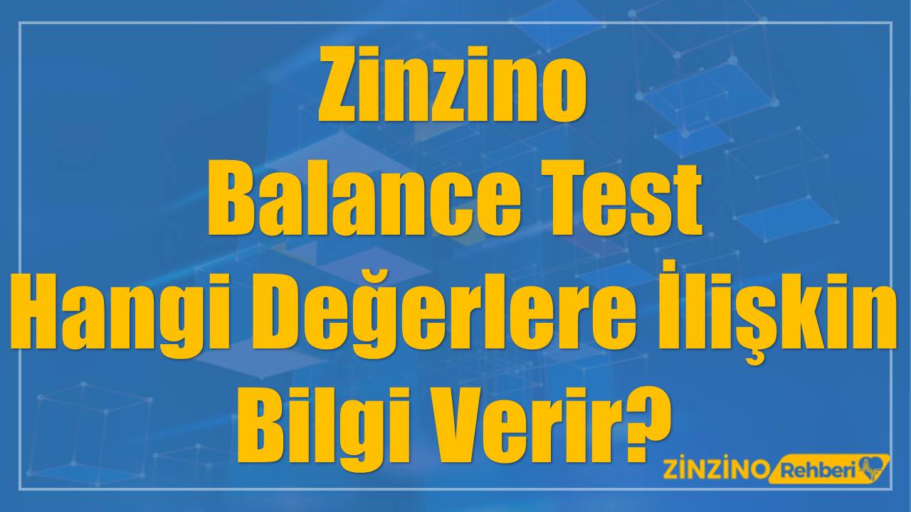 Zinzino Balance Test Hangi Değerlere İlişkin Bilgi Verir?
