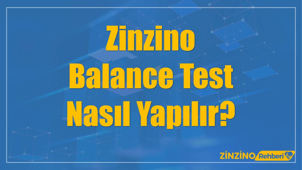 Zinzino Balance Test Nasıl Yapılır?