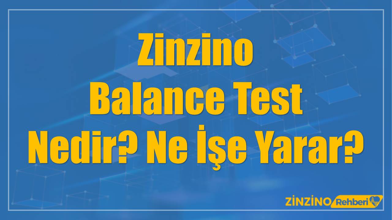 Zinzino Balance Test Nedir? Ne İşe Yarar?
